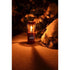 UCO 蠟燭營燈 ORIGINAL CANDLE LANTERN - PAINTED - CLASSIC SERIES  油漆款